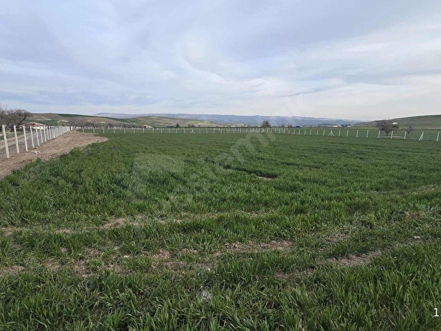7.200M2 BAĞ TEK TAPU RESMİ KADASTRON YOLLA CEPE EV YAPMAYA UYGUN - Görsel 5