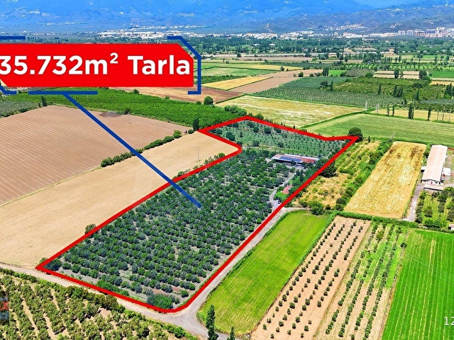 RE/MAX İNCİDEN EDREMİT ÇIKRIKÇI MAH. ÜRETİM KAPASİTELİ TAM DONANIMLI SATILIK ÇİFTLİK - Görsel 30