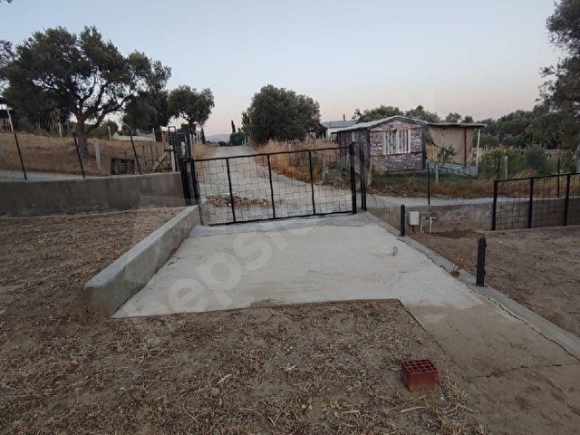 Torbalı Saipler Köyünde Satılık Zeytinlik - Görsel 5