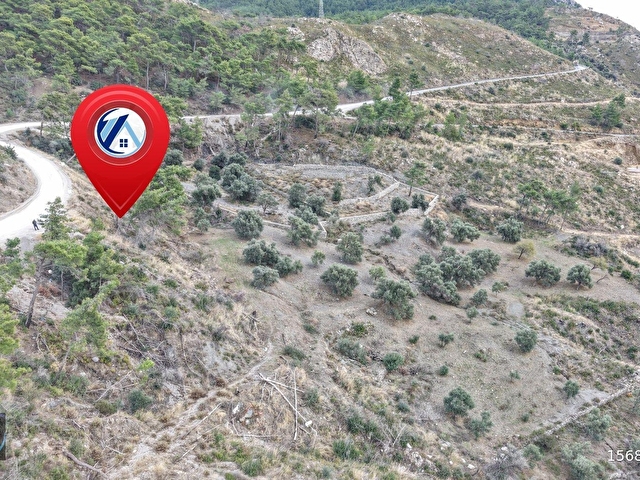 DATÇA MESUDİYEDE PANORAMİK DENiZ MANZARALI 7.609M² ZEYTİNLİK - Görsel 22