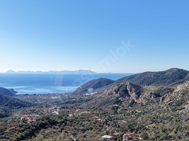 DATÇA MESUDİYEDE PANORAMİK DENiZ MANZARALI 7.609M² ZEYTİNLİK - Görsel 10