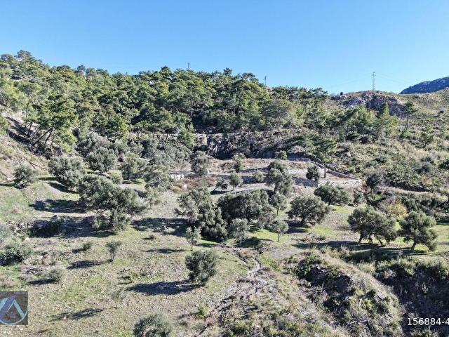 DATÇA MESUDİYEDE PANORAMİK DENiZ MANZARALI 7.609M² ZEYTİNLİK - Görsel 13