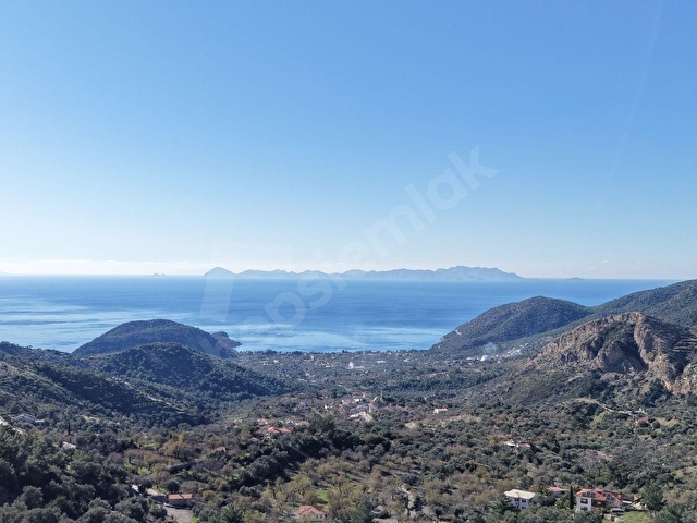 DATÇA MESUDİYEDE PANORAMİK DENiZ MANZARALI 7.609M² ZEYTİNLİK - Görsel 2