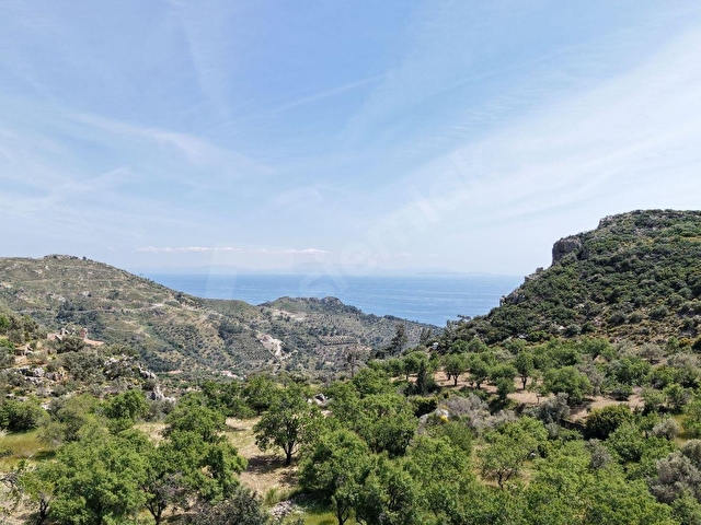 DATÇA MESUDİYEDE PANORAMİK DENiZ MANZARALI 7.609M² ZEYTİNLİK - Görsel 29