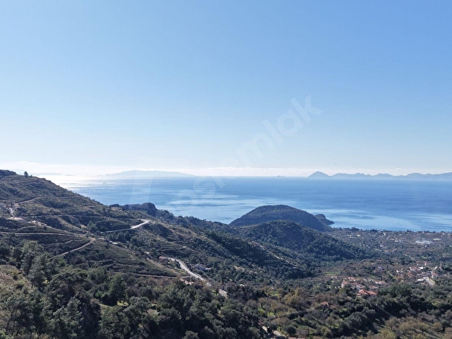 DATÇA MESUDİYEDE PANORAMİK DENiZ MANZARALI 7.609M² ZEYTİNLİK - Görsel 9