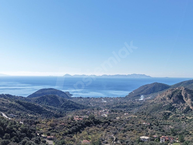 DATÇA MESUDİYEDE PANORAMİK DENiZ MANZARALI 7.609M² ZEYTİNLİK - Görsel 7