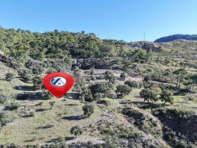 DATÇA MESUDİYEDE PANORAMİK DENiZ MANZARALI 7.609M² ZEYTİNLİK - Görsel 15