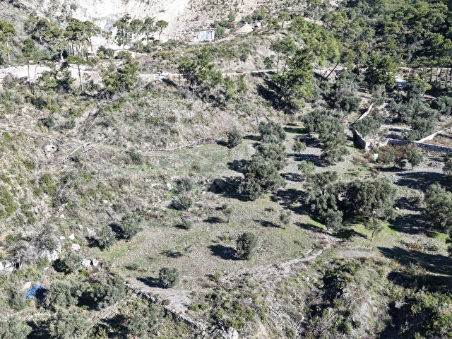 DATÇA MESUDİYEDE PANORAMİK DENiZ MANZARALI 7.609M² ZEYTİNLİK - Görsel 11
