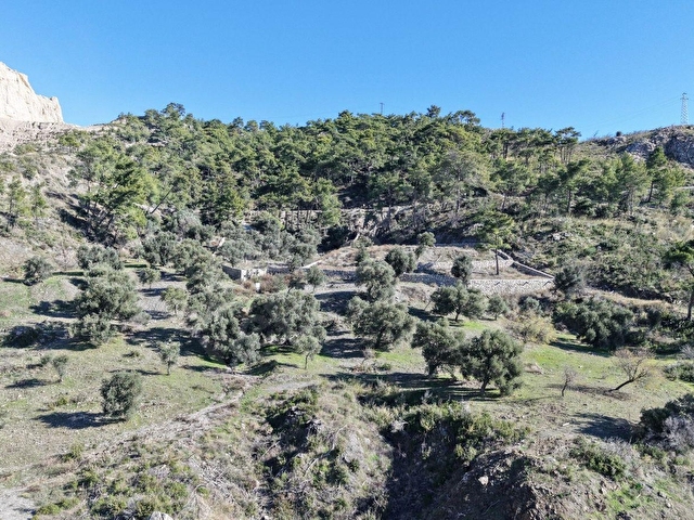 DATÇA MESUDİYEDE PANORAMİK DENiZ MANZARALI 7.609M² ZEYTİNLİK - Görsel 14
