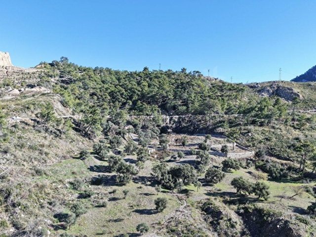 DATÇA MESUDİYEDE PANORAMİK DENiZ MANZARALI 7.609M² ZEYTİNLİK - Görsel 17