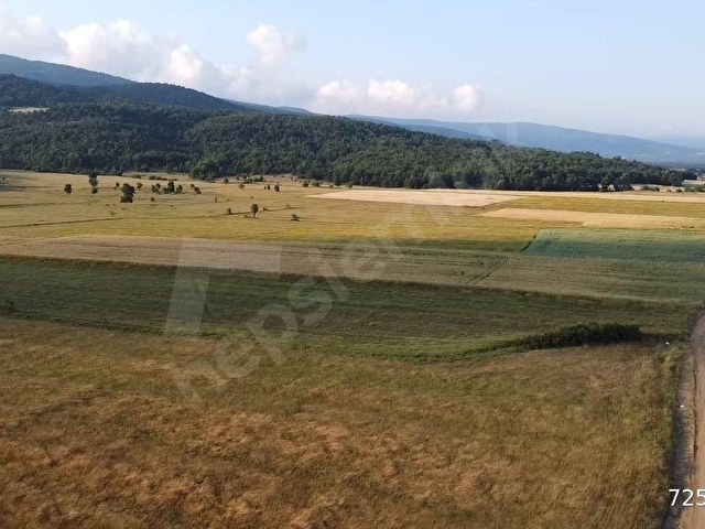 HİSARCIKTA 4.675 M2 KÖŞE PARSEL YATIRIM FIRSATI - Görsel 12
