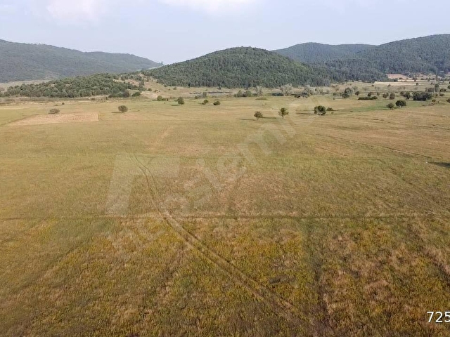 HİSARCIKTA 4.675 M2 KÖŞE PARSEL YATIRIM FIRSATI - Görsel 24