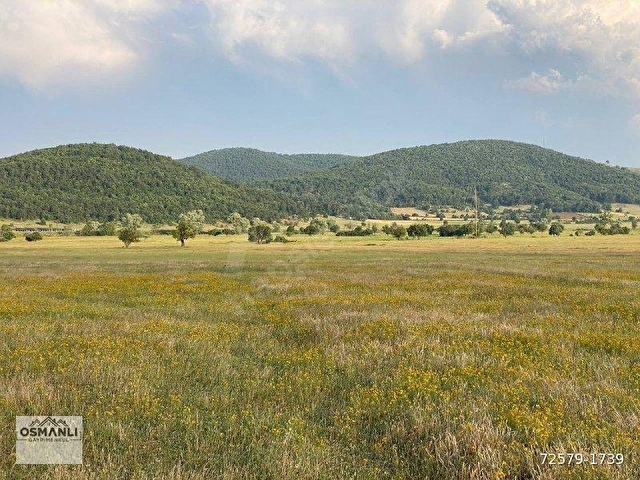 HİSARCIKTA 4.675 M2 KÖŞE PARSEL YATIRIM FIRSATI - Görsel 28