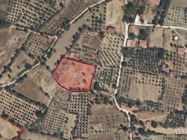 LİDERDEN Muğla Menteşe Yeşilyurtta Satılık Zeytin Ağaçlı Tarla
