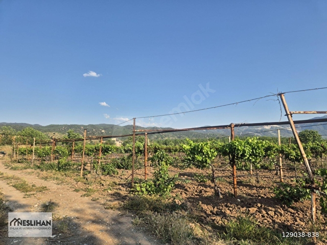 HONAZ/KOCABAŞ/2 KATLI ÇİFTLİK EVİ/ÜZÜM/EKİPMANLARI İLE SATILIK - Görsel 9