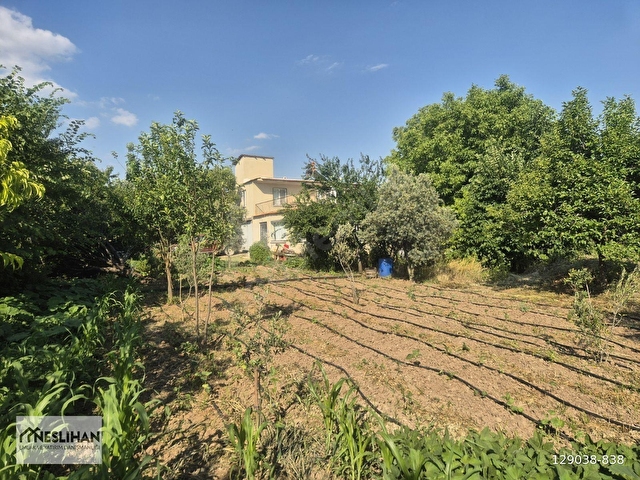 HONAZ/KOCABAŞ/2 KATLI ÇİFTLİK EVİ/ÜZÜM/EKİPMANLARI İLE SATILIK - Görsel 3
