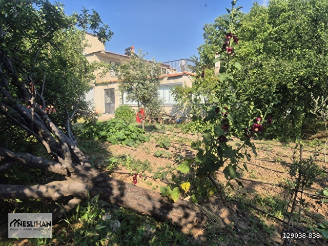 HONAZ/KOCABAŞ/2 KATLI ÇİFTLİK EVİ/ÜZÜM/EKİPMANLARI İLE SATILIK - Görsel 7