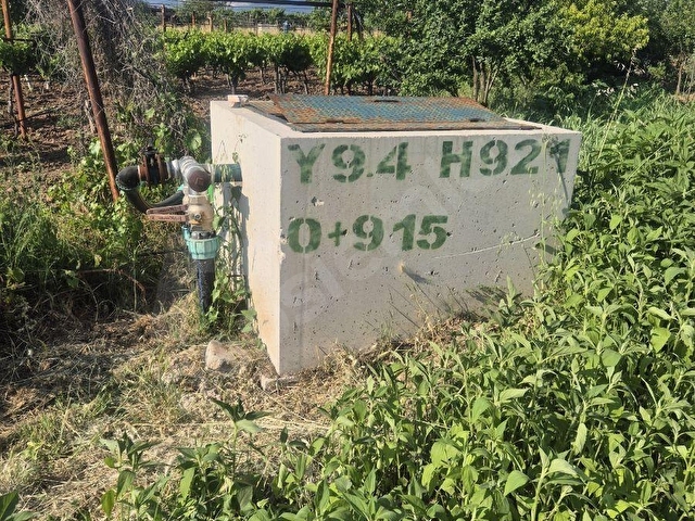 HONAZ/KOCABAŞ/2 KATLI ÇİFTLİK EVİ/ÜZÜM/EKİPMANLARI İLE SATILIK - Görsel 2