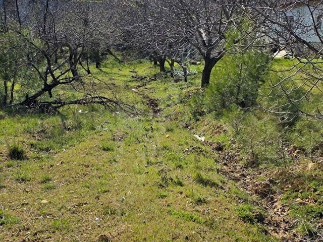 ŞENYAYLA DA SATILIK İMARLI TARLA - Görsel 6