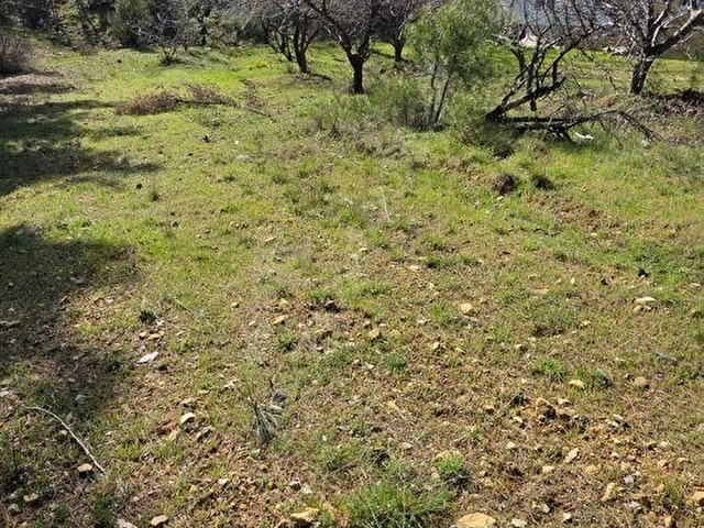 ŞENYAYLA DA SATILIK İMARLI TARLA - Görsel 9