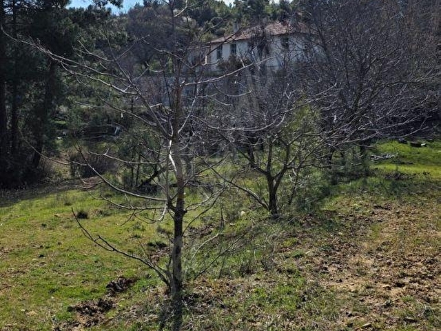 ŞENYAYLA DA SATILIK İMARLI TARLA - Görsel 5