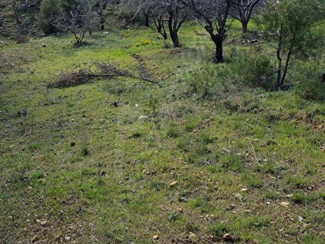 ŞENYAYLA DA SATILIK İMARLI TARLA