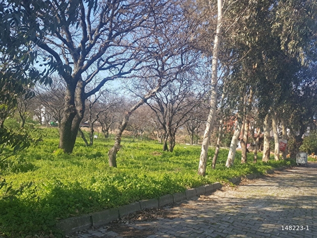 ACİL! ÖRENDE DENİZE 500 METRE UZAKLIKTA SATILIK 620 M2 ARSA - Görsel 3