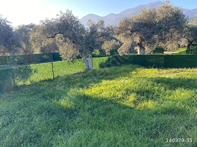GÜRÜLTÜ YOK, SADECE HUZUR VE YEŞİLLER İÇİNDE BOL TEMİZ HAVA