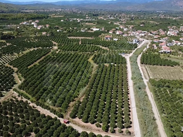 HAMİTKÖY MAHDE 150M² İMARLI TARLA - Görsel 2