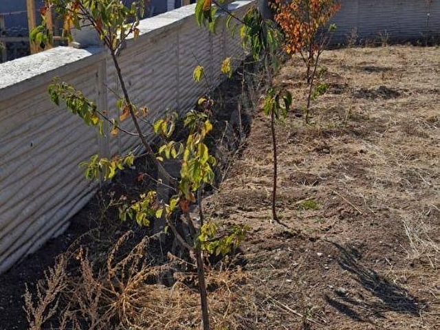 GÖLBAŞI GÖKÇEHÖYÜKTE 500 m² ARSA ÜZERİNDE SATILIK MÜSTAKİL EV - Görsel 25