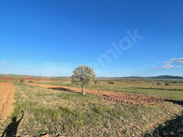 HACILARDA KELEPİR ÇİFTLİK ARAZİSİ - Görsel 19