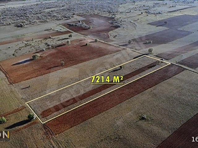 HACILARDA KELEPİR ÇİFTLİK ARAZİSİ - Görsel 20