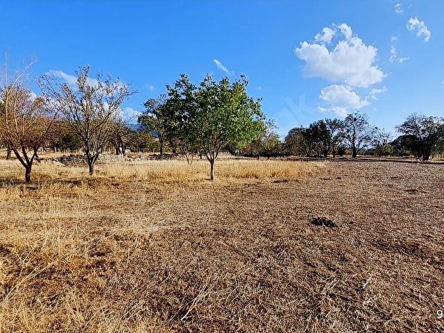 Tavas Yaka (Bağlar)da Satılık 1.117,54 m2 İmar Alanı Bitişiğinde Tarla - Görsel 13
