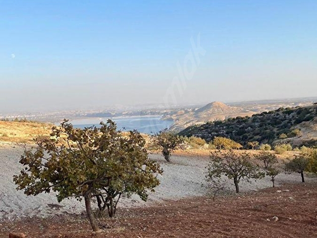 MİLLLİOĞLU İNŞAATTAN KEKLİKTE 22 DÖNÜM SATILIK FIRSAT ARAZİSİ - Görsel 2