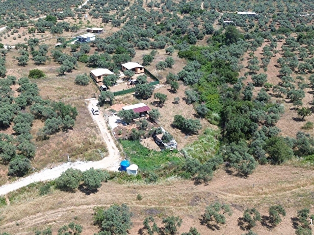 TORBALI YAZIBAŞINDA İMAR SINIRINDA MÜSTAKİL YAŞAMA UYGUN ARAZİ - Görsel 19