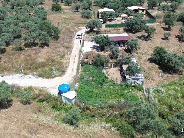 TORBALI YAZIBAŞINDA İMAR SINIRINDA MÜSTAKİL YAŞAMA UYGUN ARAZİ - Görsel 5