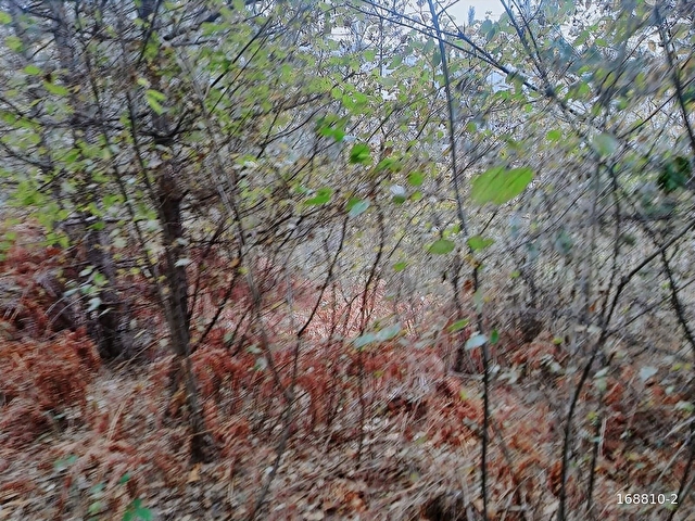 İNEGÖL- GÜLBAHÇEDE, KADASTRO YOLU MEVCUT, BARAJ MANZARALI. - Görsel 6