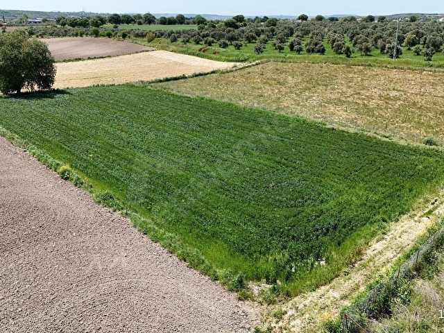 ÇANAKKALE MERKEZ HALİLELİ KÖYÜNDE KÖYE YAKIN 3 DÖNÜM ARAZİ - Görsel 5