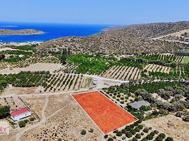 Küçükbahçe Eğrilimanda ana yola yakın satılık tarla