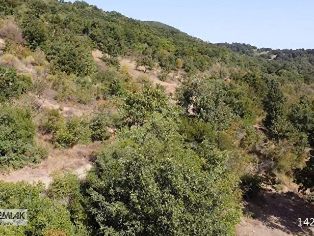 BALIKESİR MANYAS NECİP SATILIK TARLA - Görsel 23