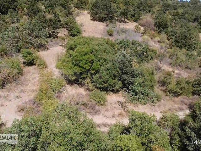 BALIKESİR MANYAS NECİP SATILIK TARLA - Görsel 27