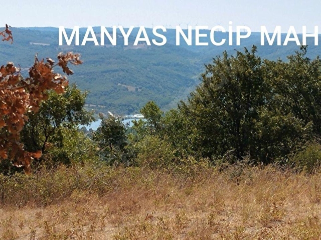 BALIKESİR MANYAS NECİP SATILIK TARLA - Görsel 2