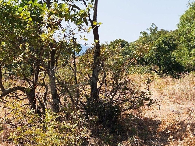 BALIKESİR MANYAS NECİP SATILIK TARLA - Görsel 8