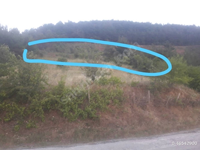 Çanakkale Bayramiç Dağobada Yeşiller İçinde Vadi Manzaralı 4.470m2 Tarla - Görsel 4