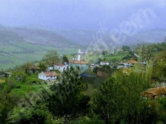 Çanakkale Bayramiç Dağobada Yeşiller İçinde Vadi Manzaralı 4.470m2 Tarla