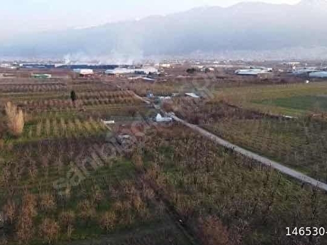 YILDIRIM SAMANLI`DA FIRSAT ARAZİ - Görsel 7