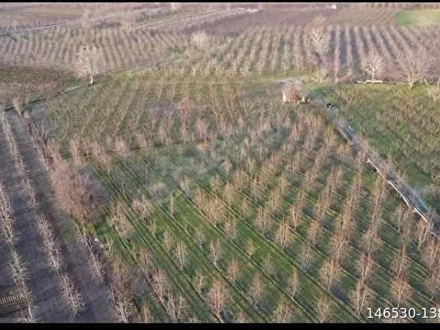 YILDIRIM SAMANLI`DA FIRSAT ARAZİ - Görsel 8