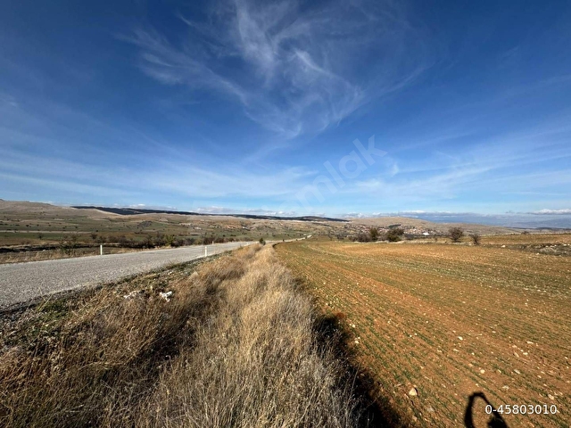 ASFALT YOLA 90 METRE CEPHELİ MÜSTAKİL 5.000 m² TARLA - Görsel 4
