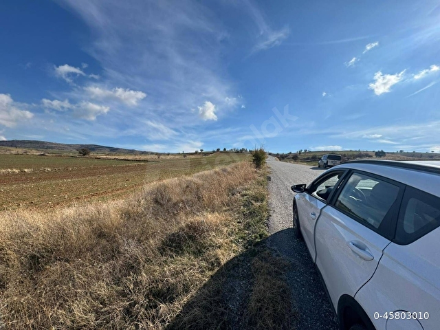 ASFALT YOLA 90 METRE CEPHELİ MÜSTAKİL 5.000 m² TARLA - Görsel 2