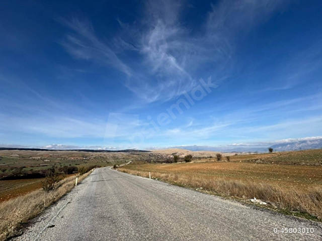 ASFALT YOLA 90 METRE CEPHELİ MÜSTAKİL 5.000 m² TARLA - Görsel 13